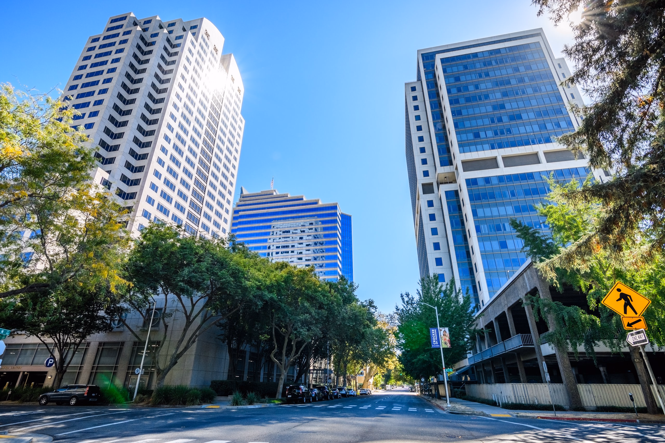 Street trees along a Sacramento-area street