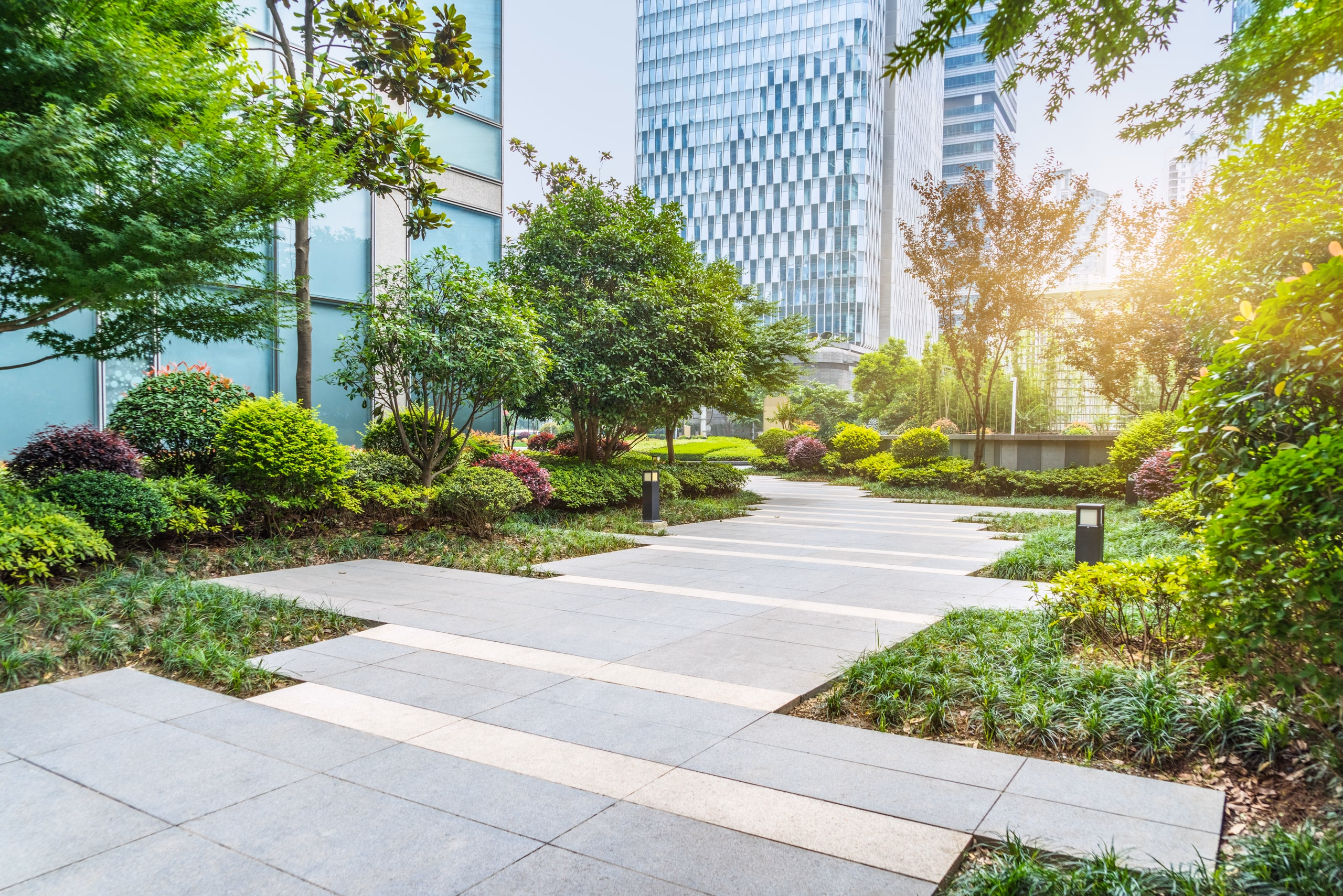 Landscaped walkway and trees at an office park