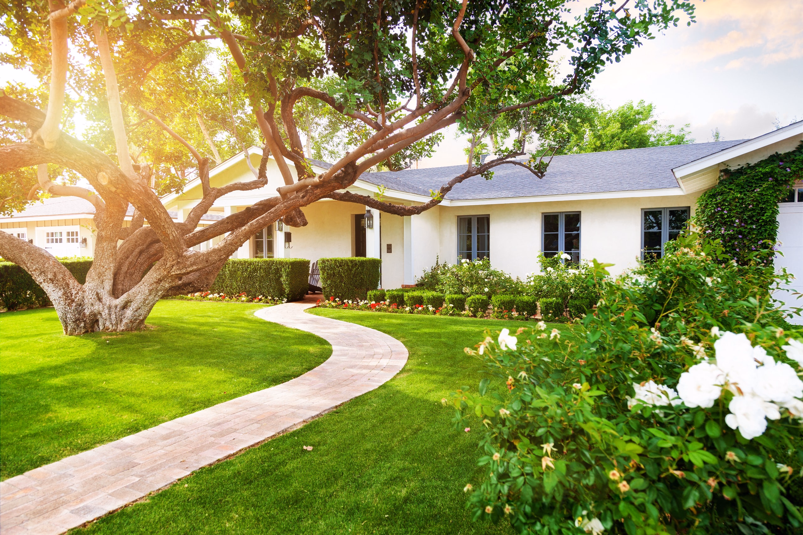Home with a mature oak tree shading a green front lawn