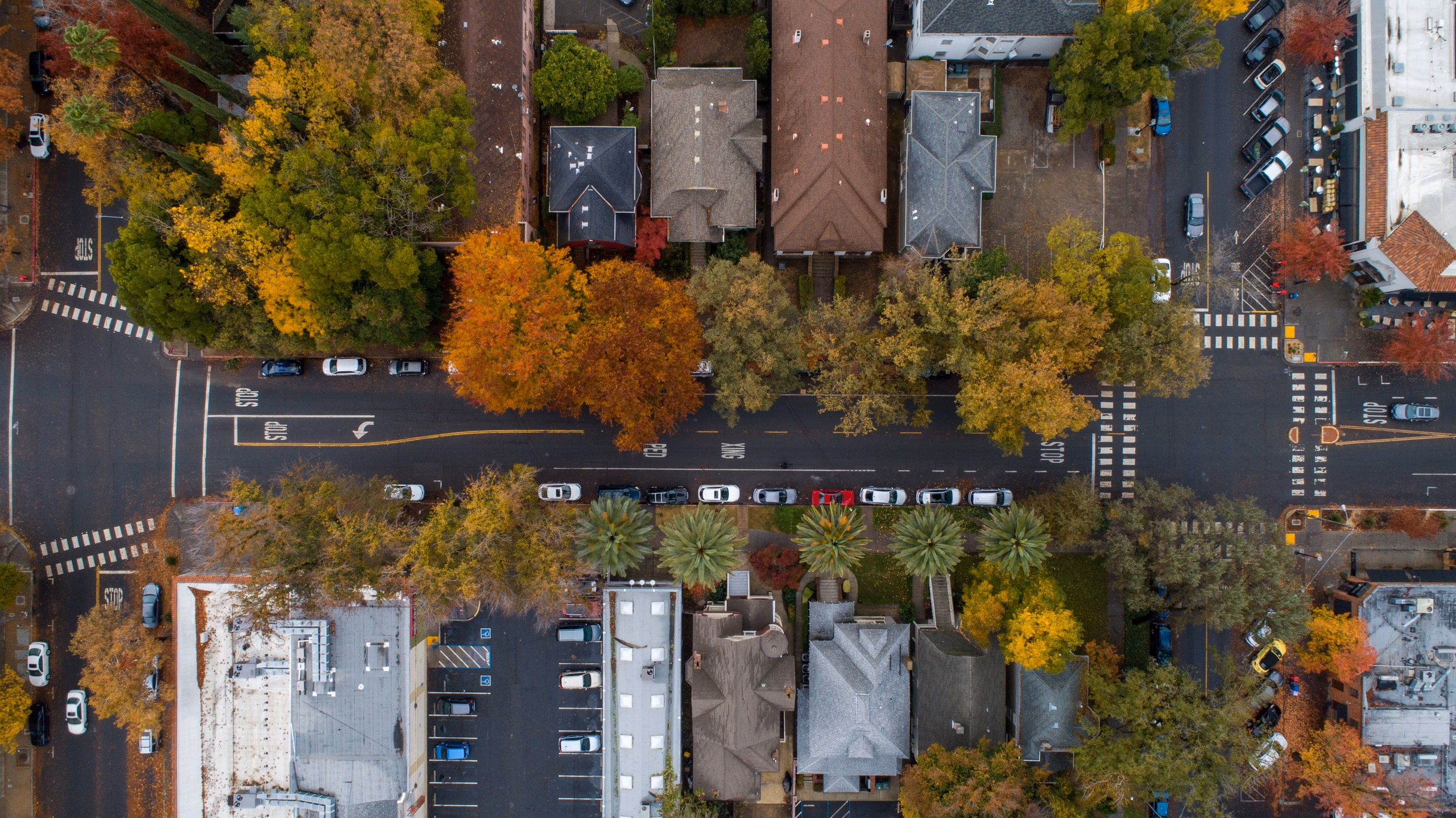 Aerial view of Sacramento neighborhoods under a canopy of fall trees