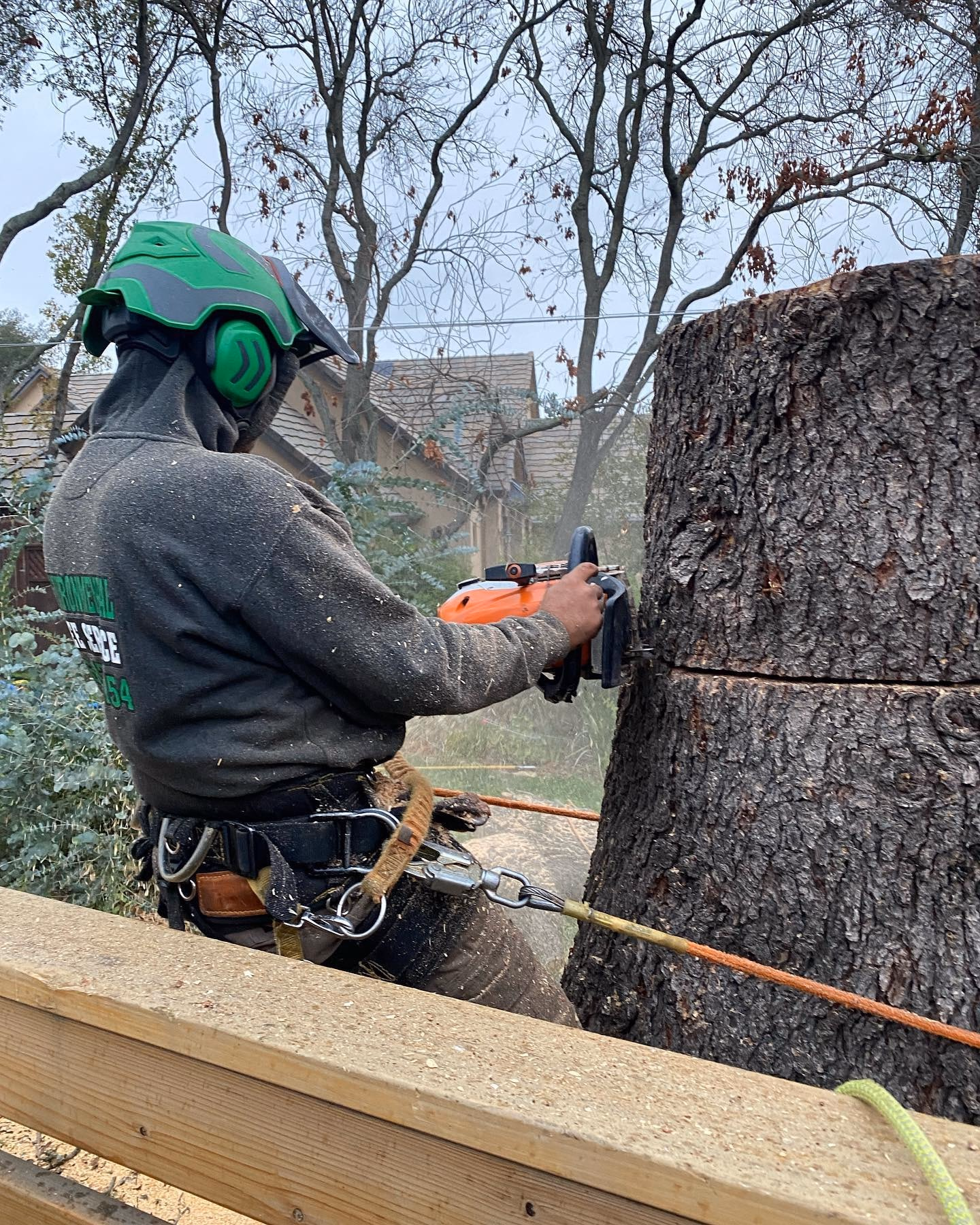 Environmental Tree Service: climber roped in, cutting through a trunk